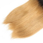 Ombre Bundle Straight Virgin Remi Hair