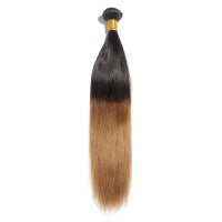 Ombre Bundle Straight Virgin Remi Hair