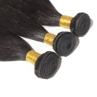 Ombre Bundle Straight Virgin Remi Hair