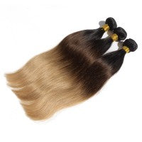 Ombre Bundle Straight Virgin Remi Hair