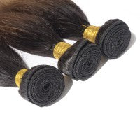 Ombre Bundle Straight Virgin Remi Hair