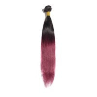 Ombre Bundle Straight Virgin Remi Hair