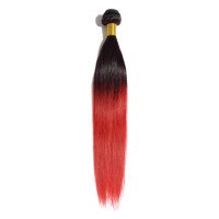 Ombre Bundle Straight Virgin Remi Hair